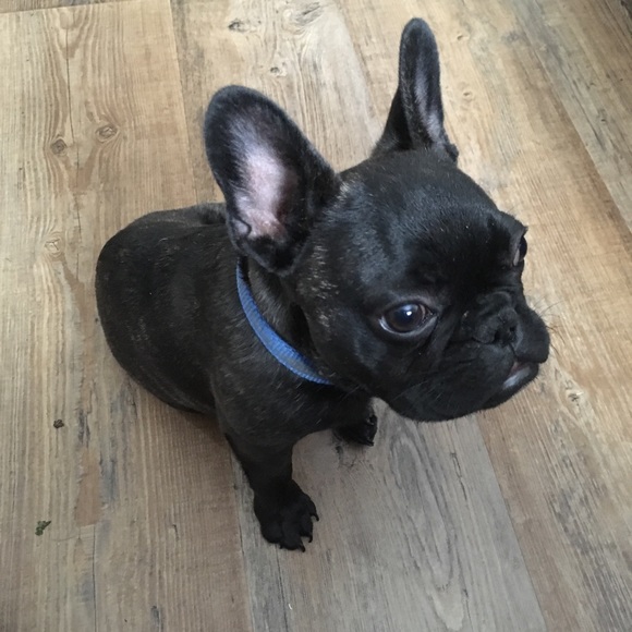 Meet your Posher, Barbara - Picture 1 of 1